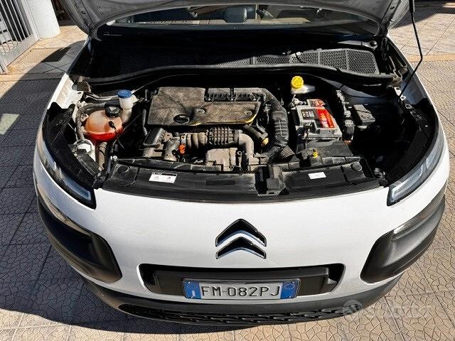 
								Citroen C4 Cactus BlueHDi 100 Shine full									