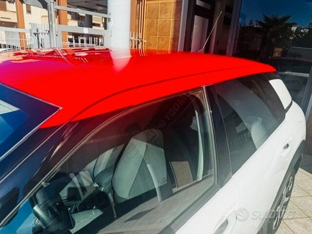
								Citroen C4 Cactus BlueHDi 100 S&S Shine full									